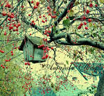 birdhouse and fall by firstkissfeelings