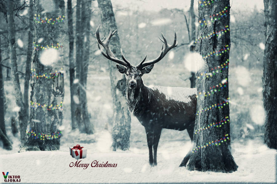 Merry Christmas by ViktorGjokaj