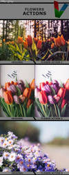 Flower Actions 1 by ViktorGjokaj