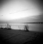 Sea Oats II by kateholden