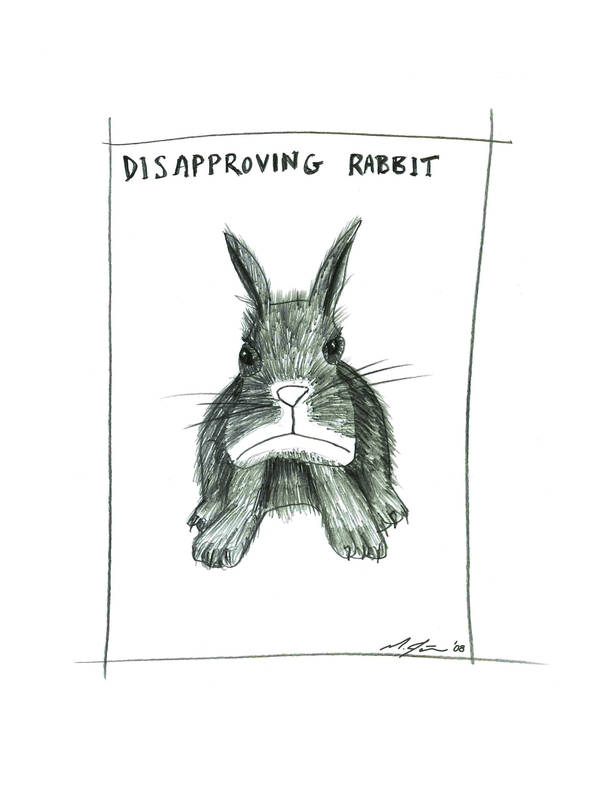 Disapproving Rabbit by Marc-Jager