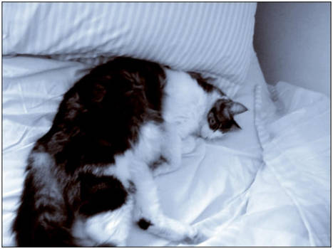 So peacefully... by Parororo