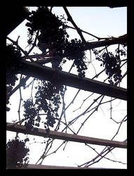 Offseason by Parororo