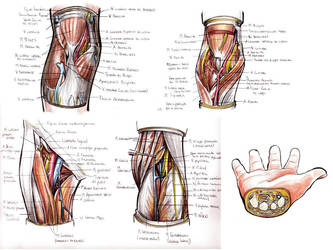naked body parts omg by Parororo