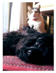 A simple portrait by Parororo