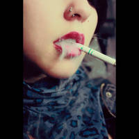 Camel by cryingmoontears