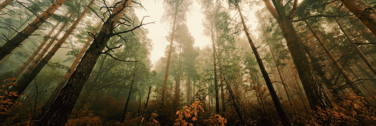Awakening by HendrikMandla