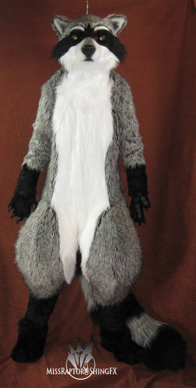Raccoon fullsuit by MissRaptor