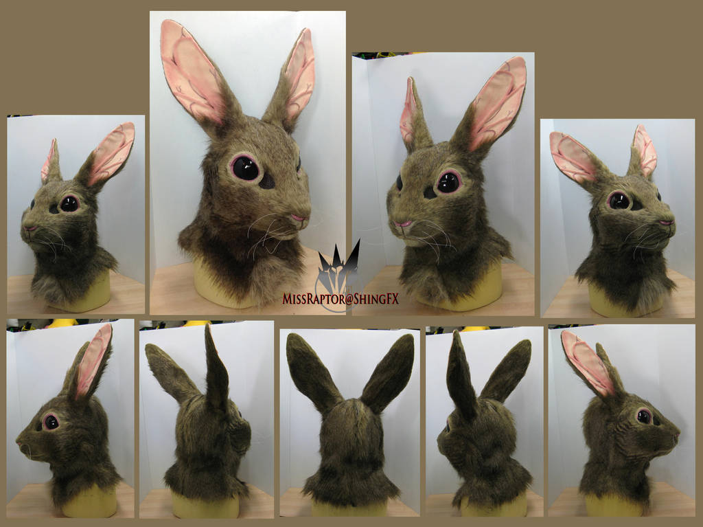 Eastern Cottontail by MissRaptor