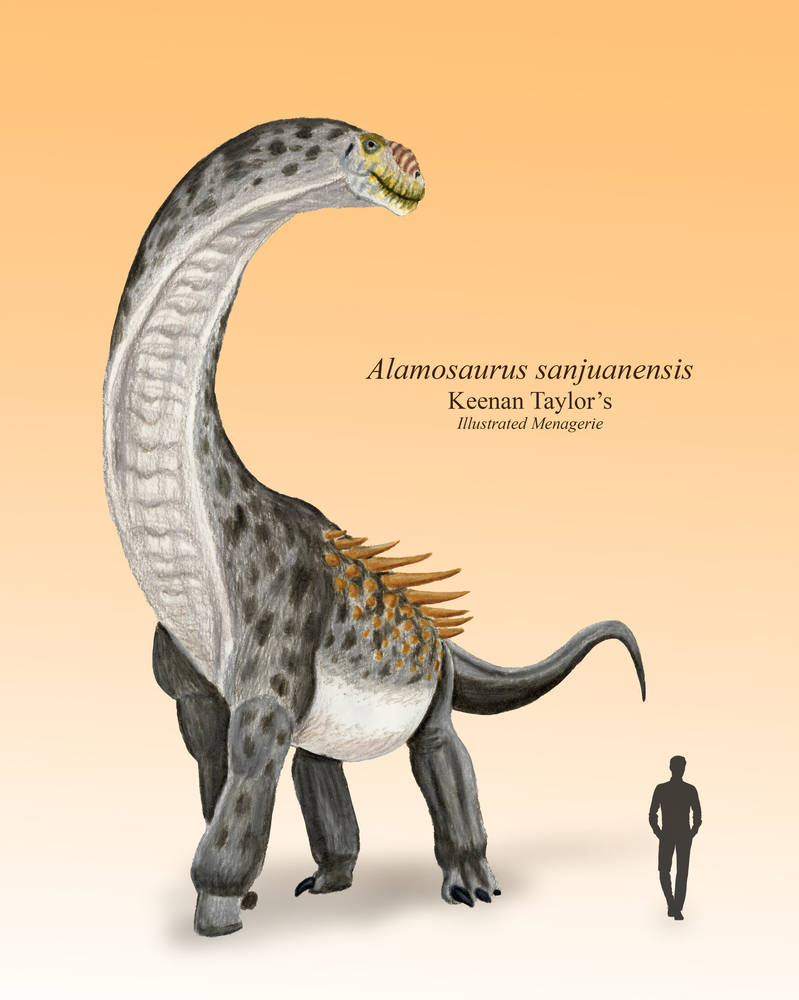 Alamosaurus by IllustratedMenagerie on DeviantArt
