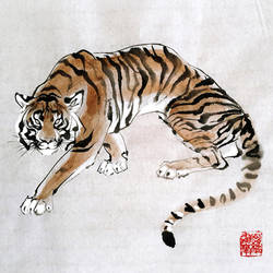 Tiger, tiger burning bright by toedeledoki