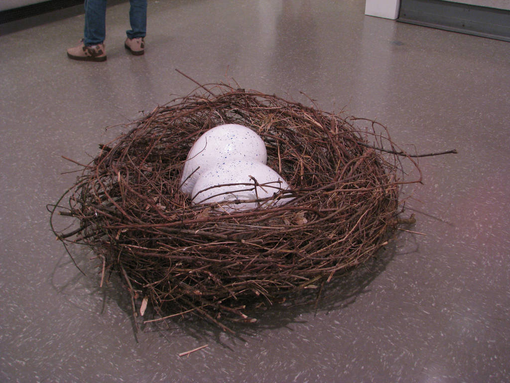 Nest And Eggs by ItsAllStock