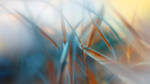 Pastel summer by lubbo