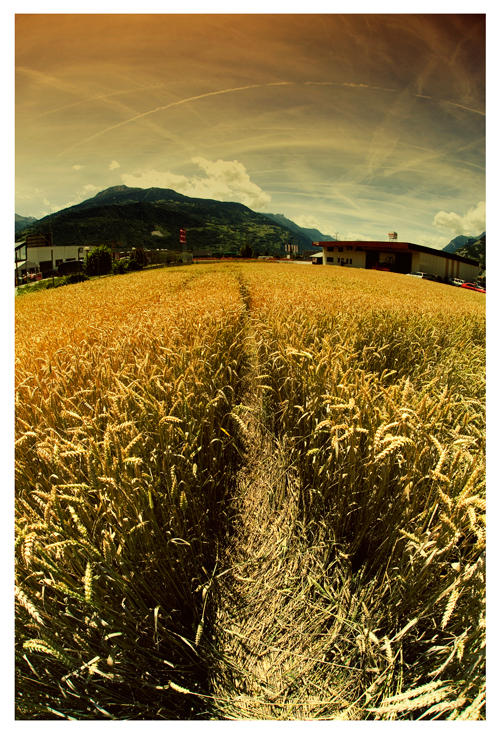 Country environment by leonard-ART