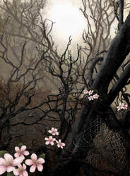 First signs of spring by Alisha-Mordicae