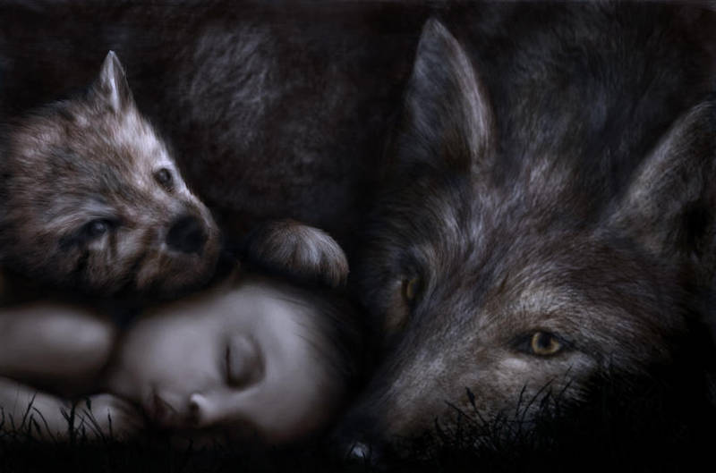 Wolf baby at night by Alisha-Mordicae