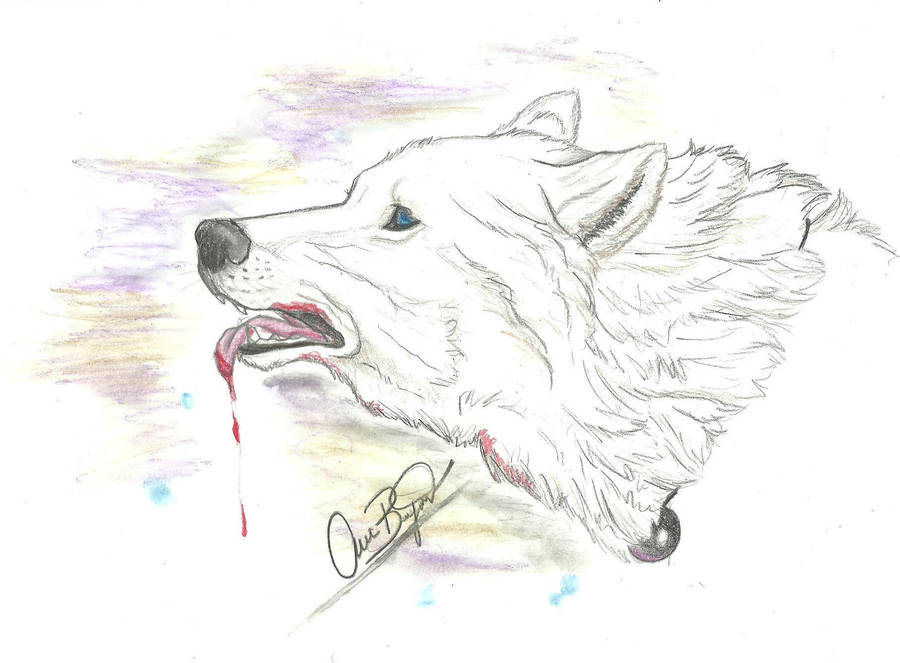 My lost inner thoughts by Aric414