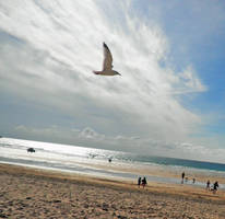 Fistral Beach by LaleniaStar