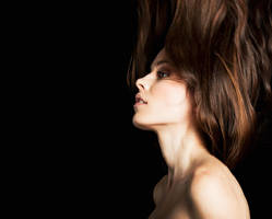 The Longest Road by LaurenCalaway