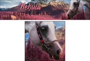 Nebula Equestrian by ElysianEquine