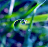 Waiting for the Sun by xBarbaraG