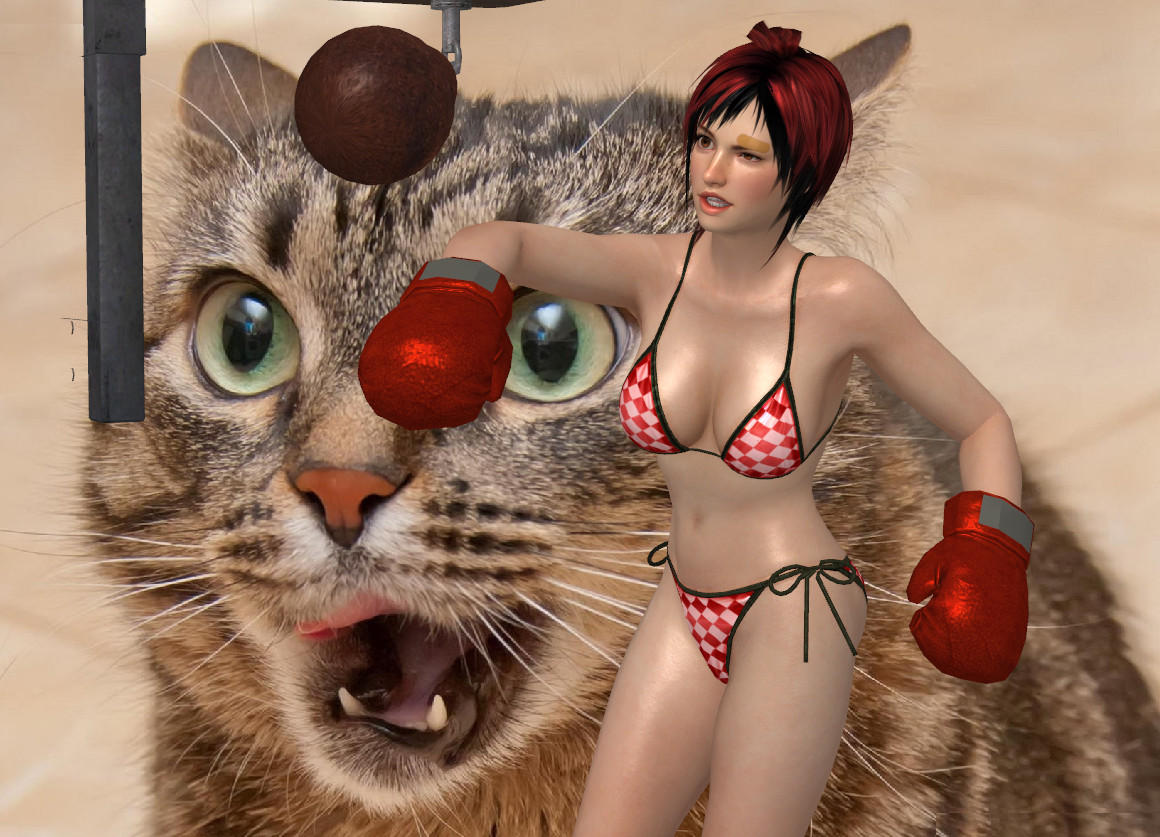 DOA5 Mila Swimsuit by darkblueking