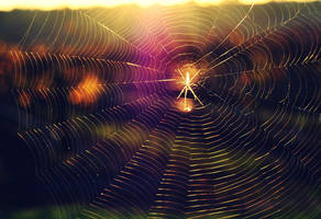 Searchin' The Web by RetroChick27