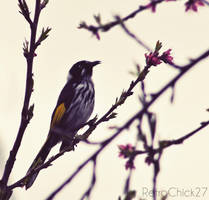 Spring Life by RetroChick27