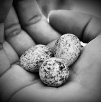 New Life by RetroChick27