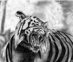 Tiger by x0SHiranai0x