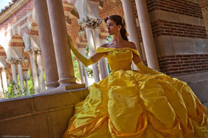 Disney Princess Belle 1 by BelleEtoile