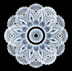 Lace by Lady-Compassion
