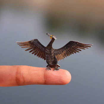 Double Crested Cormorant - Paper cut birds by NVillustration