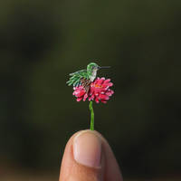 Baby Hummingbird - Paper cut birds by NVillustration