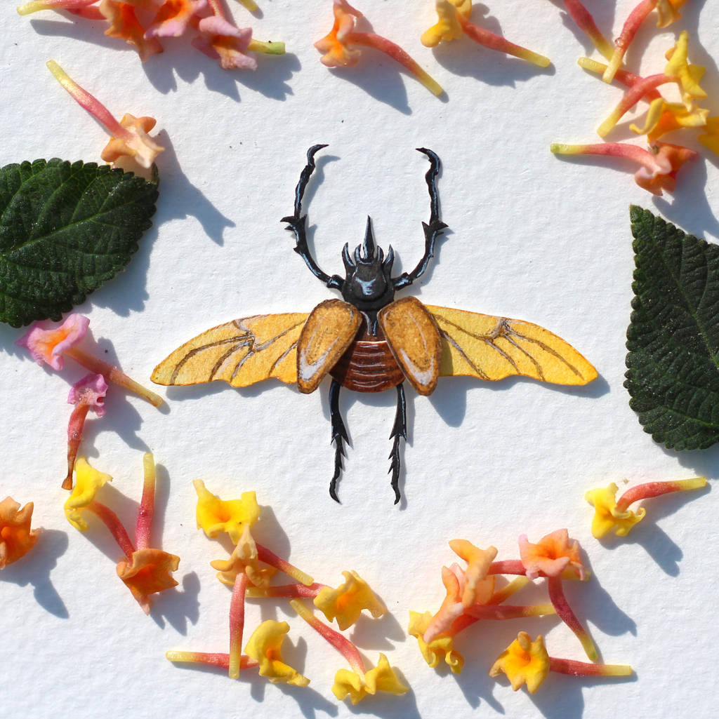 Rhinoceros beetle short story pdf image