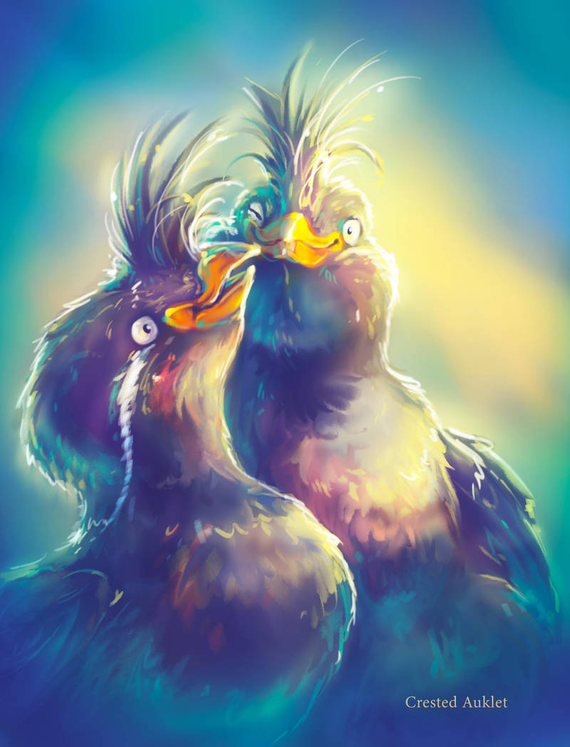 Crested Auklet by Fany001