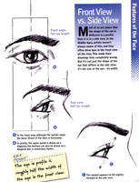 Proportions Tip by Christopher-Hart