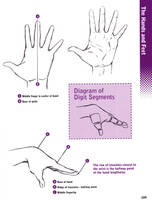 HOW TO DRAW HANDS - PROPORTIONS by Christopher-Hart