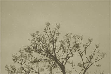 a espera inconfundivel by photographpaper