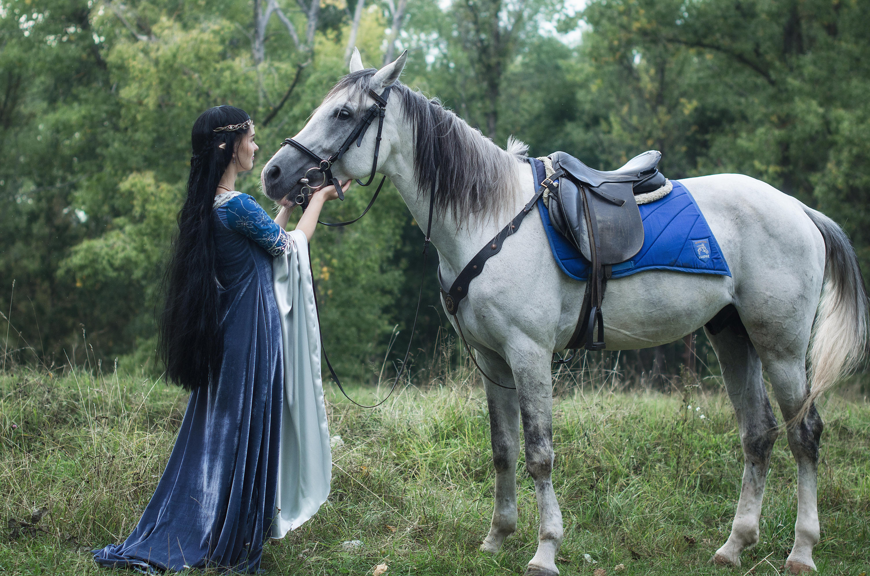 Arwen by Aquilina-das