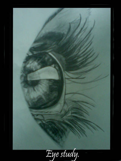 Eye study by babygirlsart