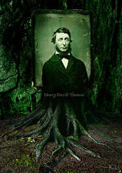 -Henry David Thoreau- by Ryals-Shoal
